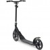 Прогулянковий самокат Frenzy Recreational Black 250 mm